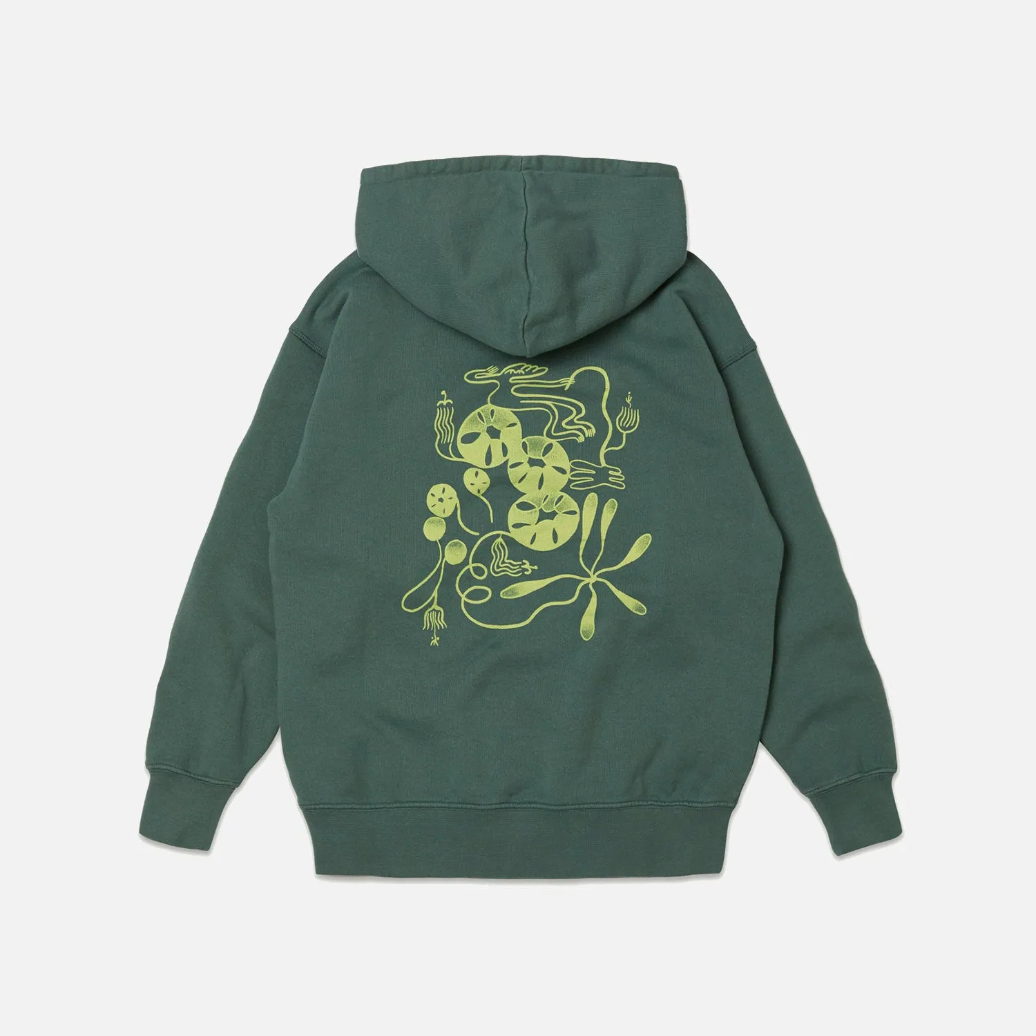 Cotton Hoodie - Balsam Green