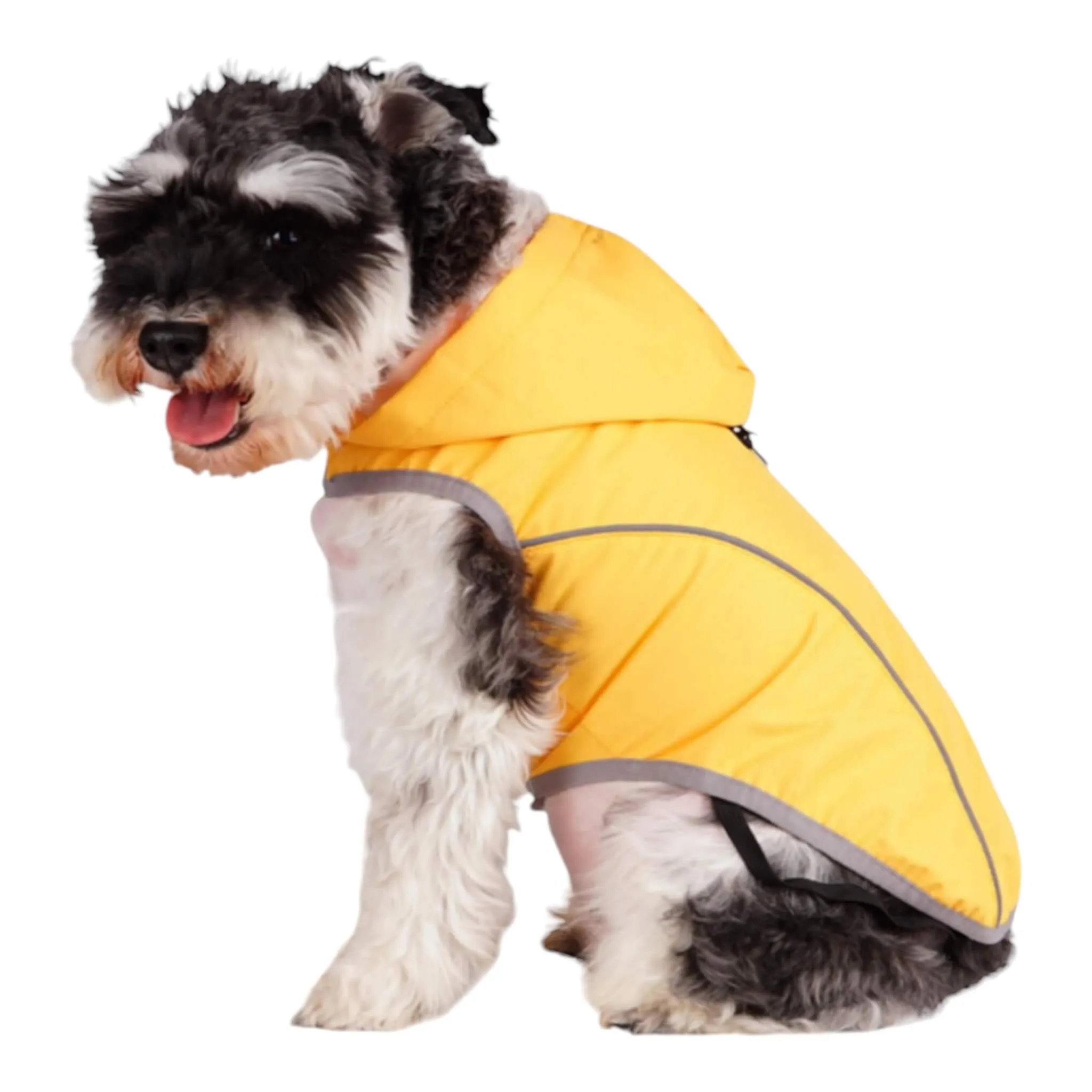 Cumbria Dog Raincoat