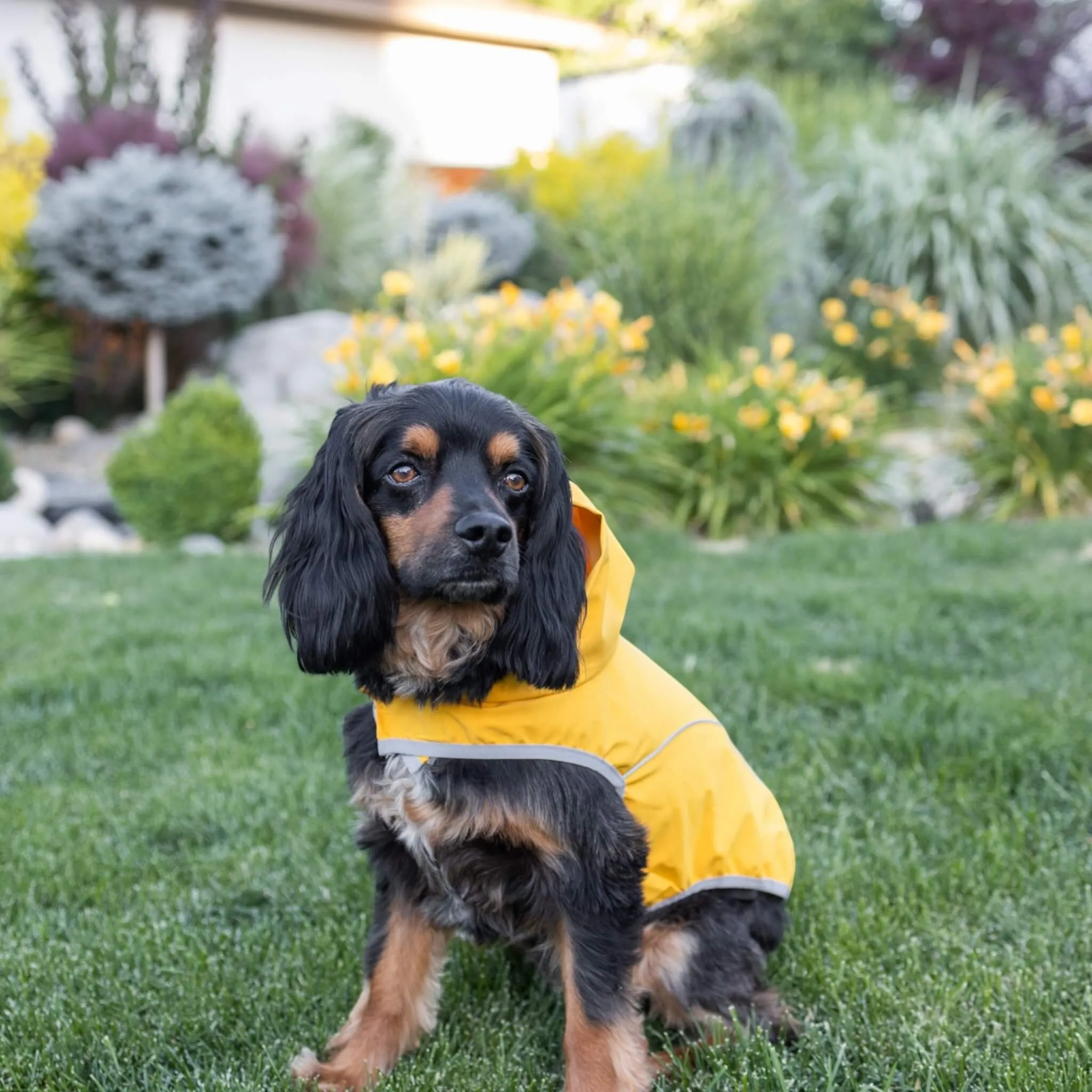 Cumbria Dog Raincoat