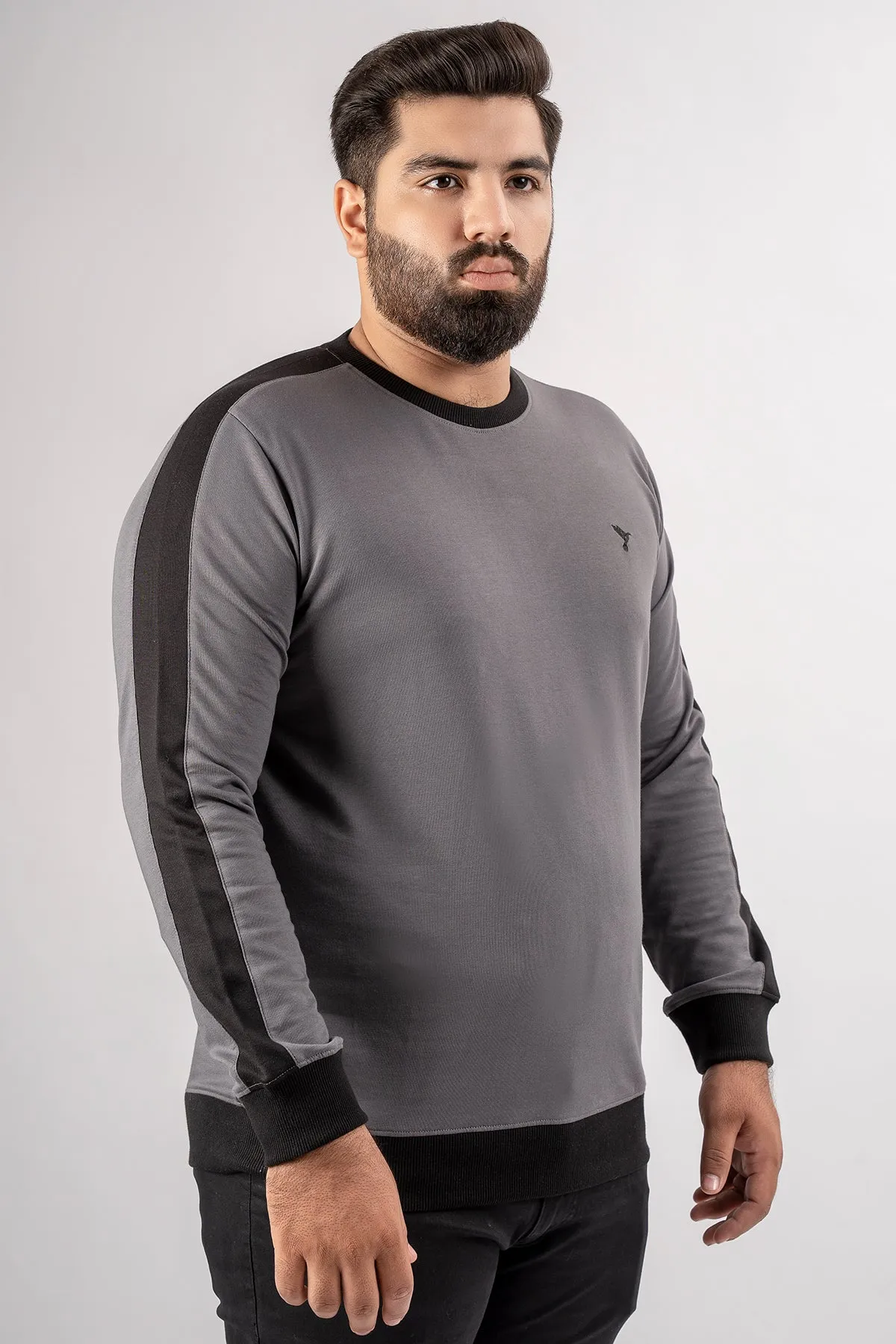 Dark Grey Cut & Sew Sweatshirt (Plus Size) - S24 - MSW095P