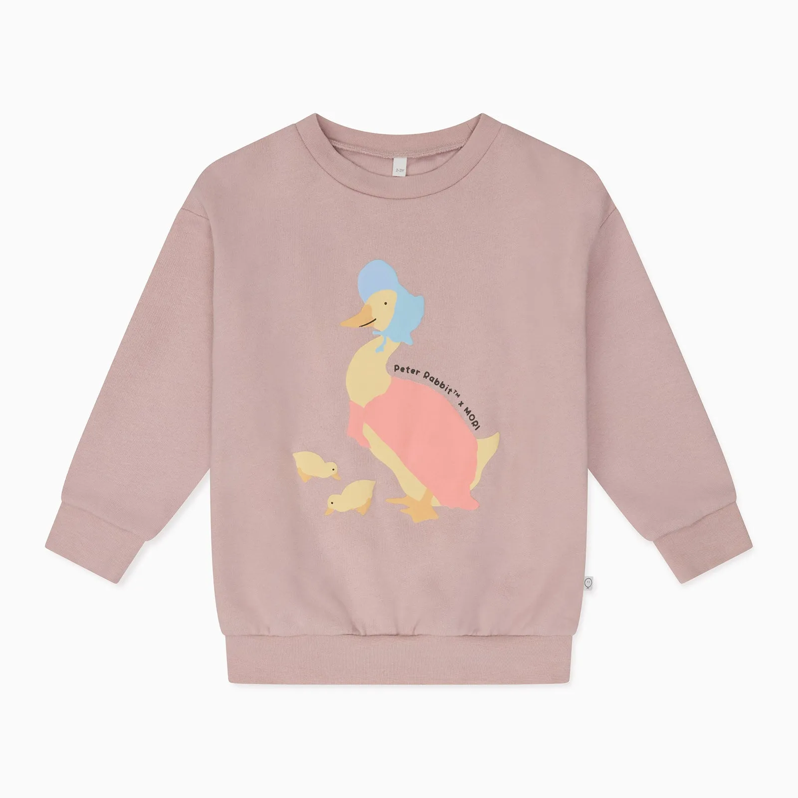 Jemima Puddle-Duck Sweater